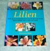 Lilien