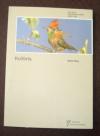 Poley, Kolibris